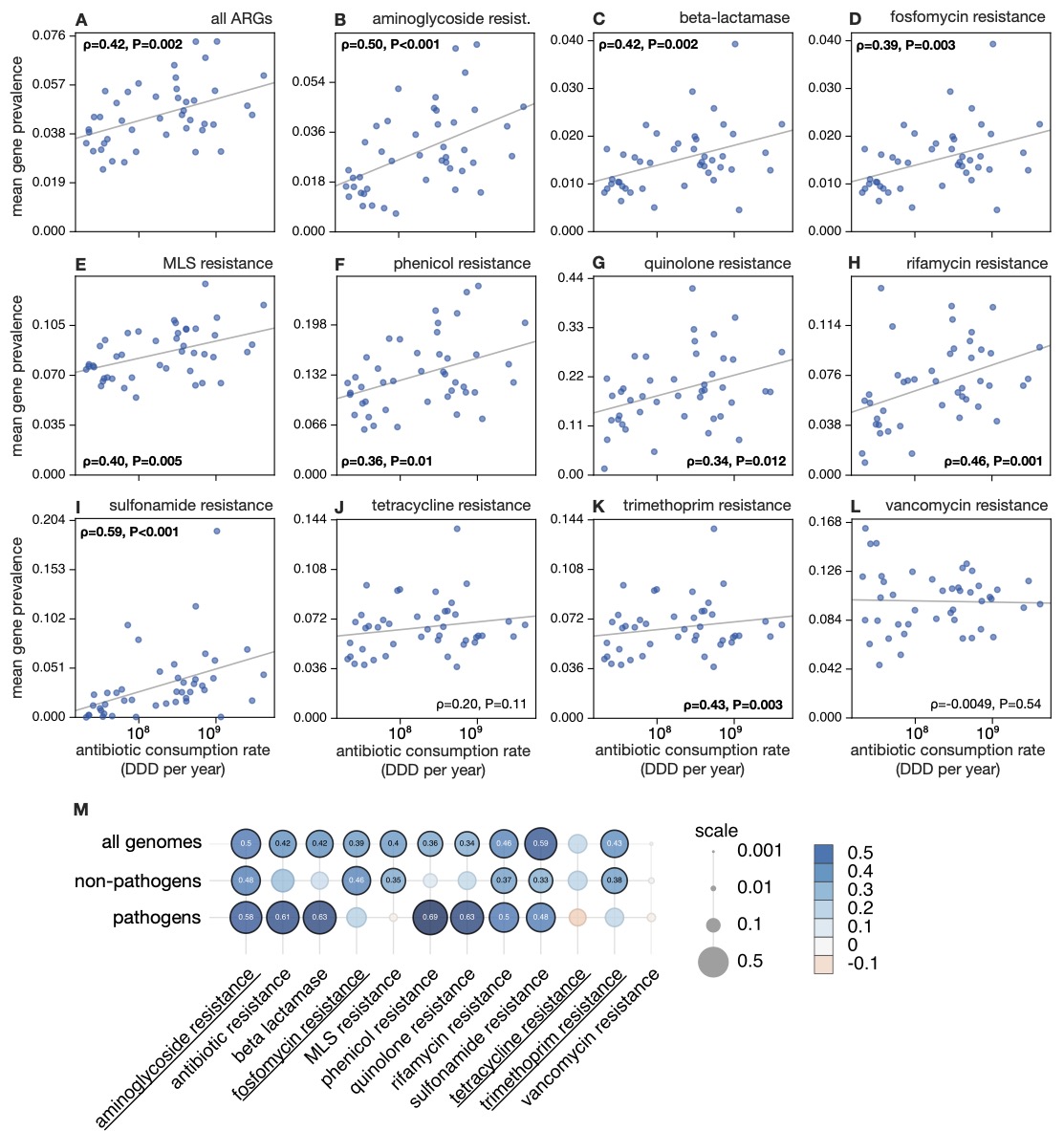 (A-L) Prevalence of antibiotic resistance genes visually compared to national antibiotic consumption rates (one data point per country). (M) Correlations between mean antibiotic resistance gene prevalence and national antibiotic consumption rates.